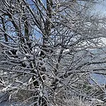 Le De Juliette * Жерарме