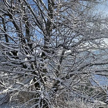 Le De Juliette * Gérardmer