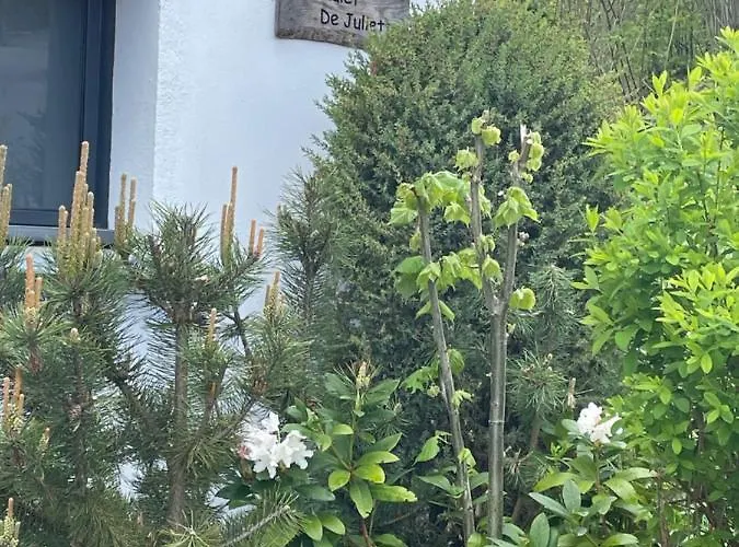 Le De Juliette Horská chata Gérardmer