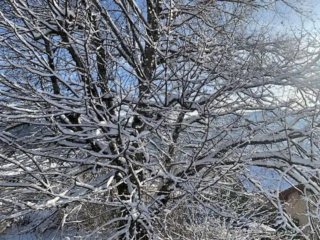 Le De Juliette * Gérardmer